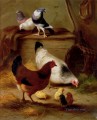 鳩と鶏の家禽家畜納屋エドガー・ハント
